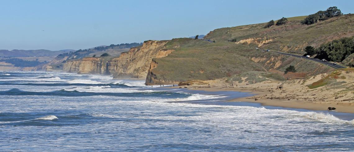 Harbor Seals At Pescadero State Beach