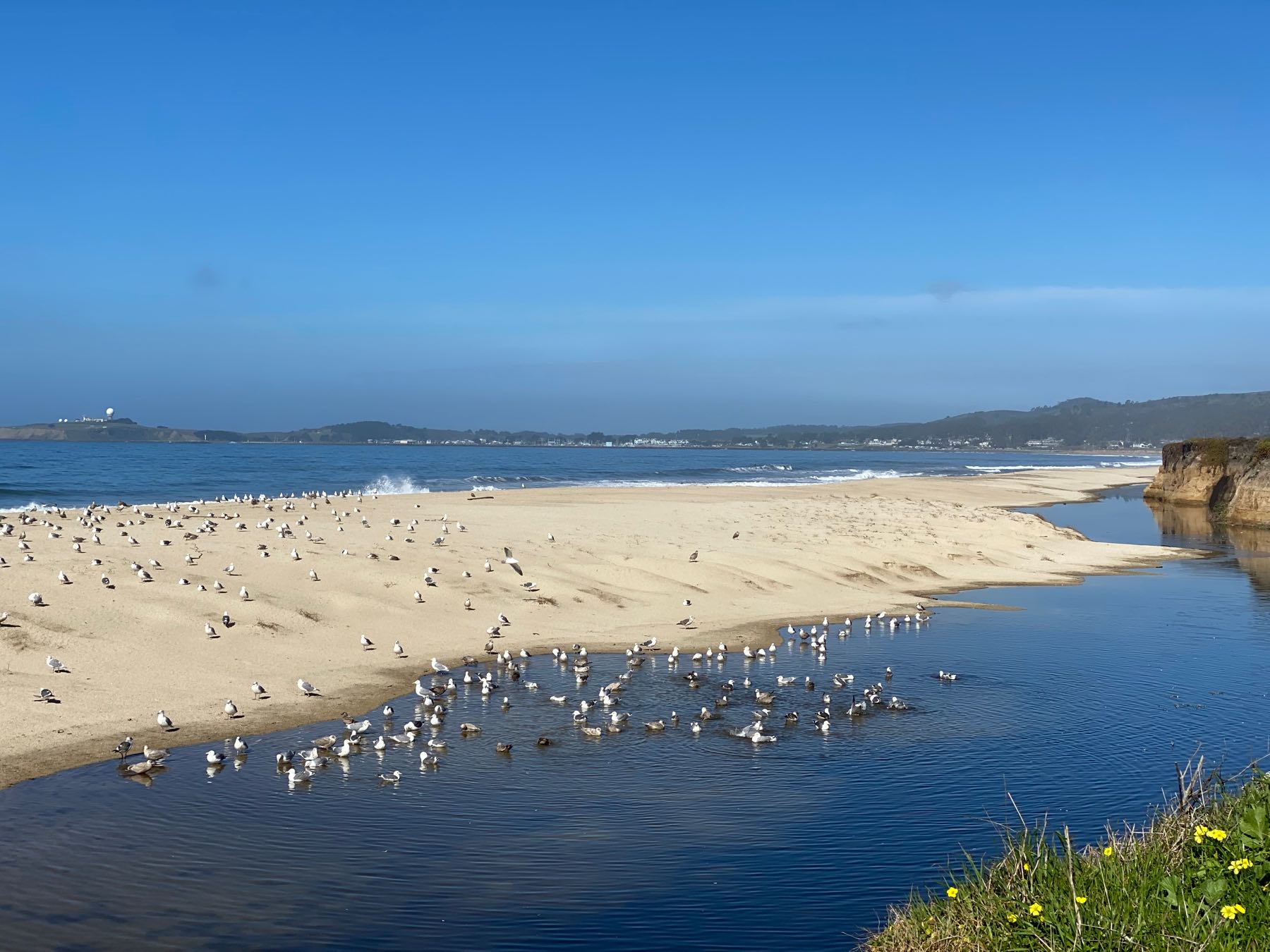 Half Moon Bay State Beach – Coastside State Parks Association