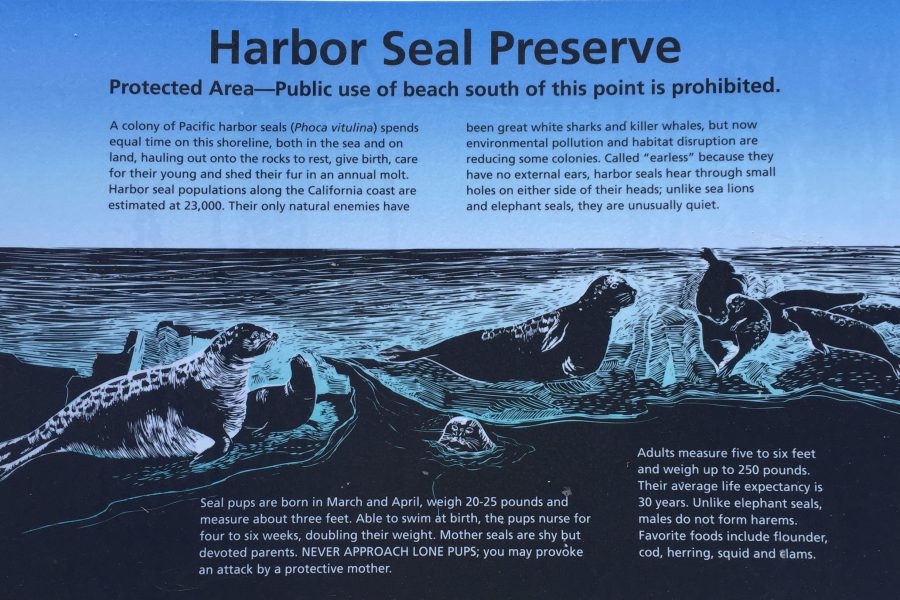 Harbor seal interpretive sign.