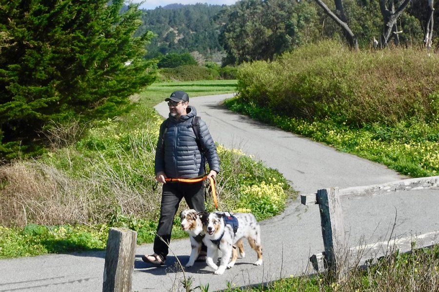 The California Coastal Trail serves pedestrians, bicyclists, and other non-motorized users.
