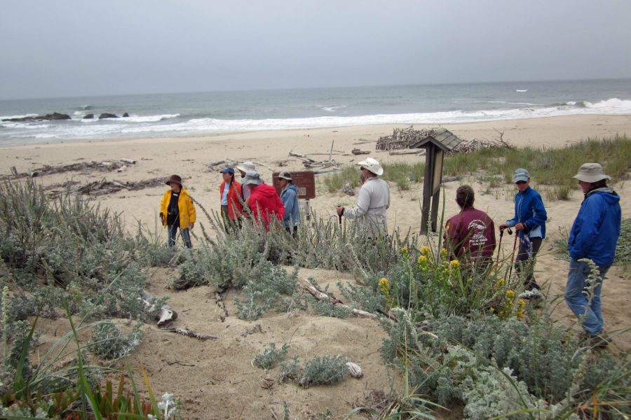 Docents and visitors on the beach. (Photo: © Nancy Frost)
