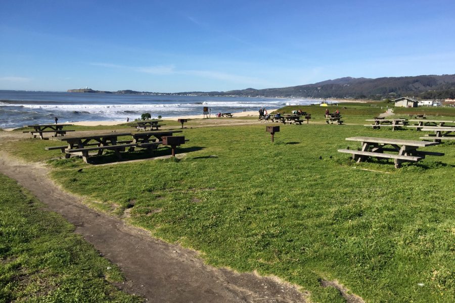 Francis Beach picnic area, Half Moon Bay State Beach