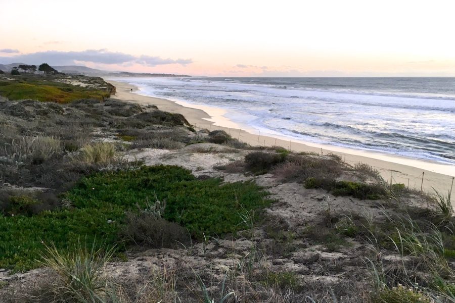 HMB State Beach - Venice Beach