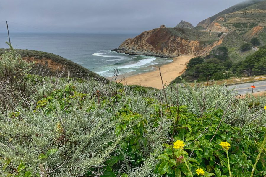 Coastal views from McNee Ranch trails