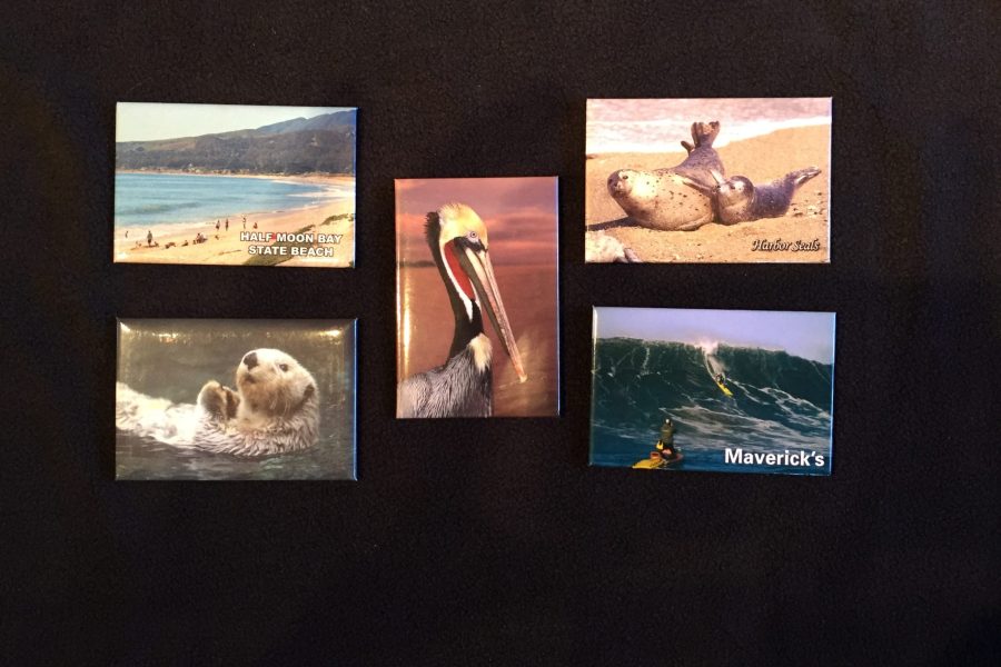 Magnets reflecting the wildlife and activities at the park (Photo: CSPA archive)