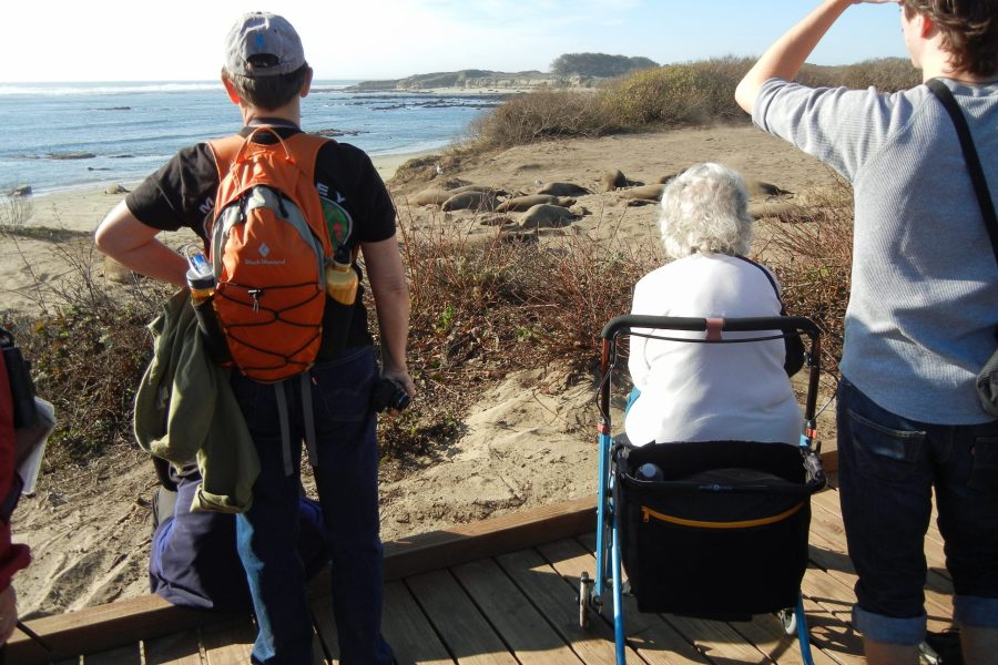 Accessible viewing for everyone. (Photo: CSPA archive)