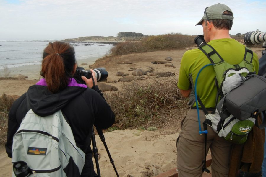 Ample time to observe and photograph. (Photo: CSPA archive)