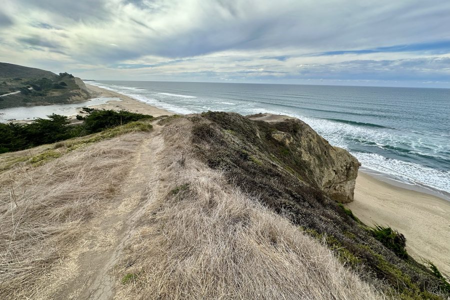 Beach view from the San Gregorio Ranch.