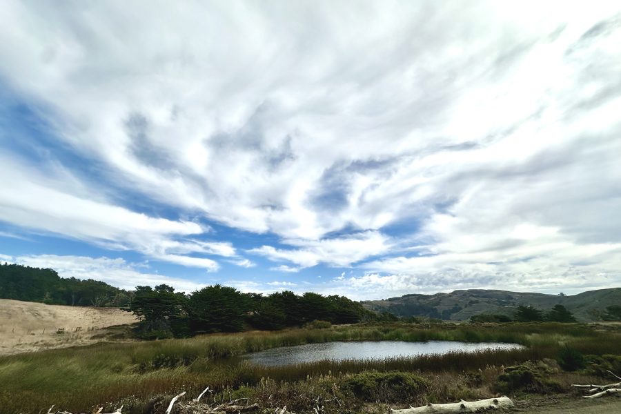 San Gregorio Ranch pond.