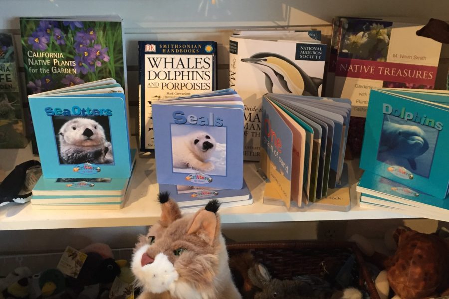 Books for all ages are available in all of our stores (Photo: CSPA archive)